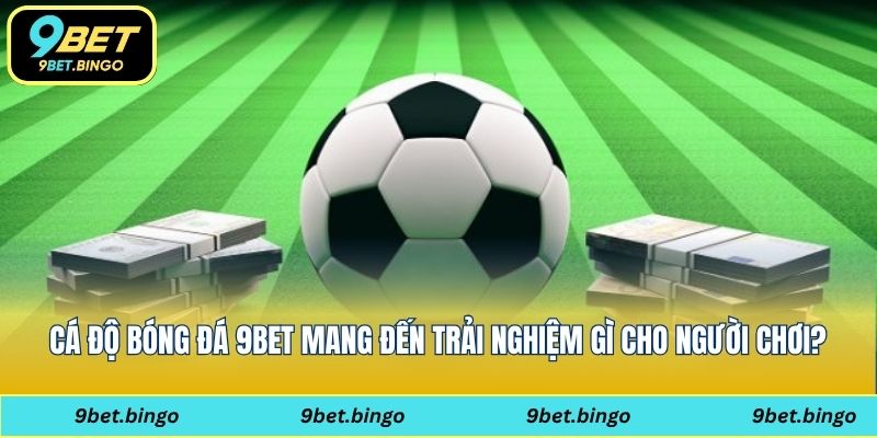 Cá độ bóng đá 9bet mang đến trải nghiệm gì cho người chơi?