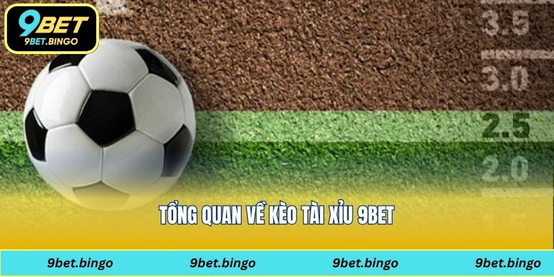 Tổng quan về kèo tài xỉu 9bet