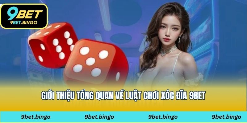 Cách thức vận hành cơ bản của luật chơi xóc đĩa 9bet